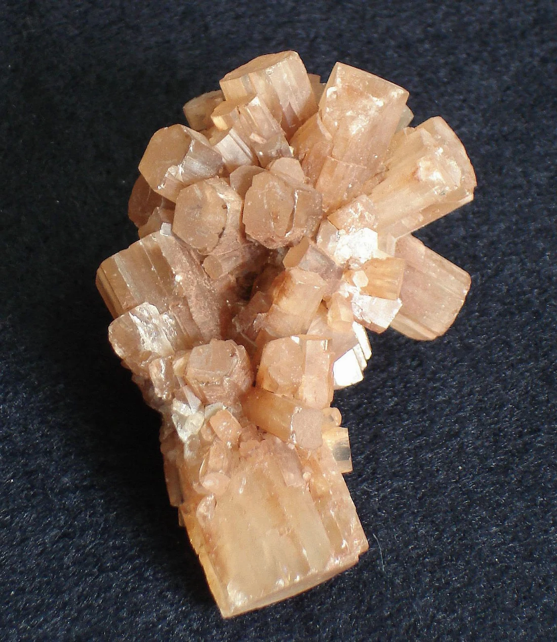 Agregado de cristales prismáticos de referencia, de tono melocotón sobre fondo oscuro.
