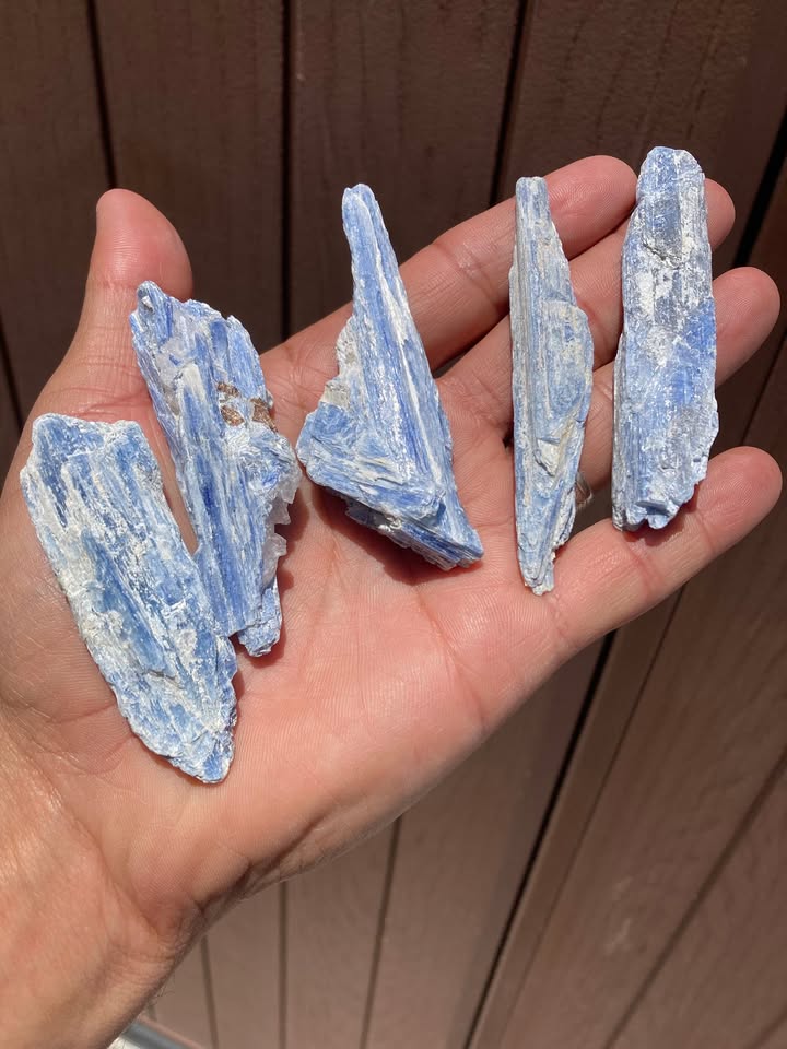 PROMO Pack 5 Cianitas Azules