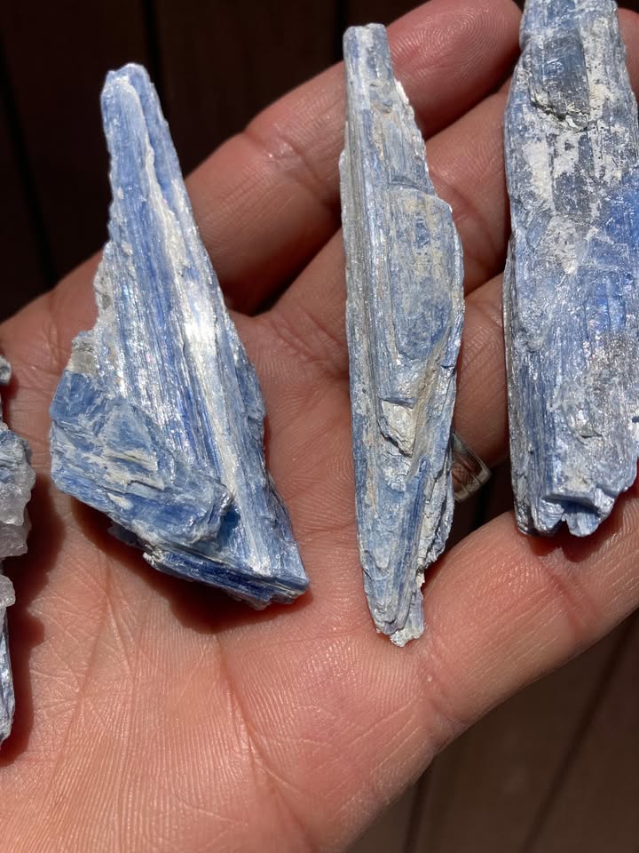 PROMO Pack 5 Cianitas Azules
