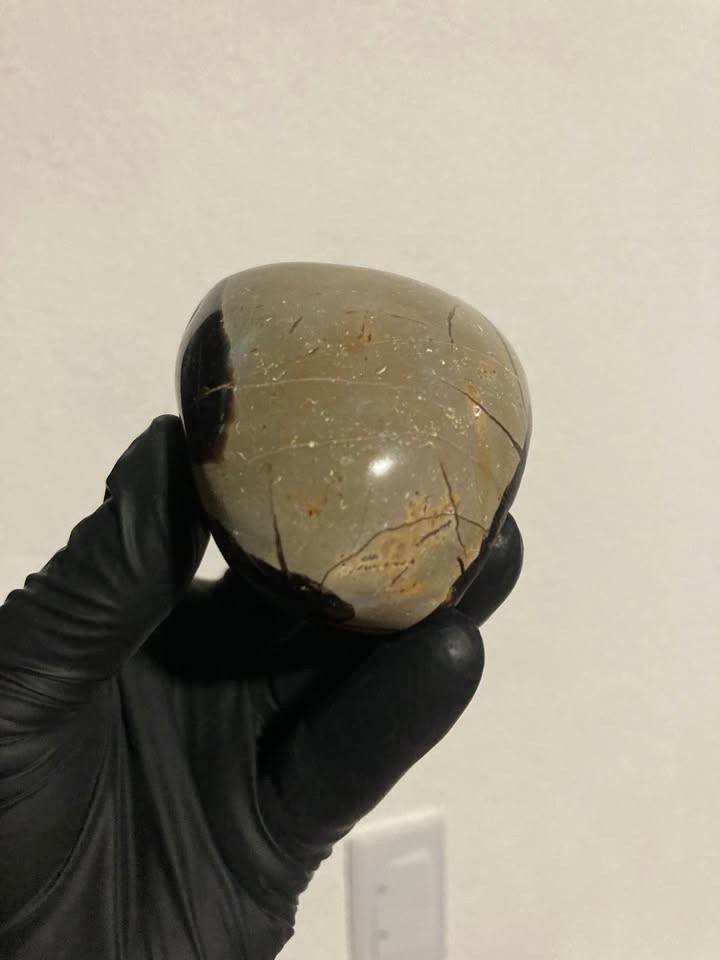 Huevo de drusa Septaria negra