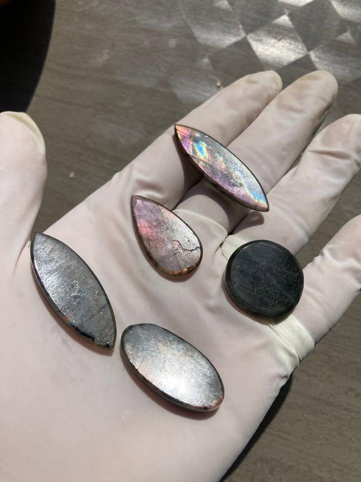 Pack 5 Cabujones de Spectrolita
