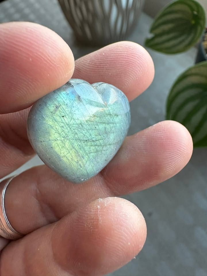 💎✨PROMO: Pack de 5 Corazones tallados en labradorita