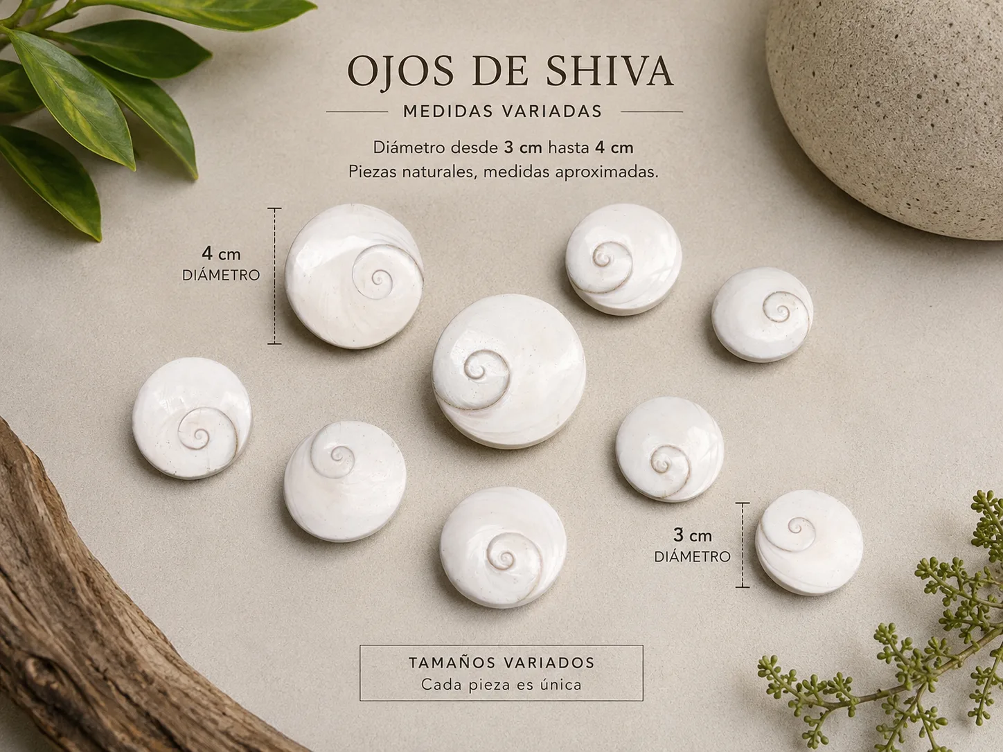 Fotografía 3 de Ojos De Shiva Naturales Pulidos 3 A 4 Cm Lote Variado
